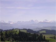 Walter 08.07.08-02.01.200940